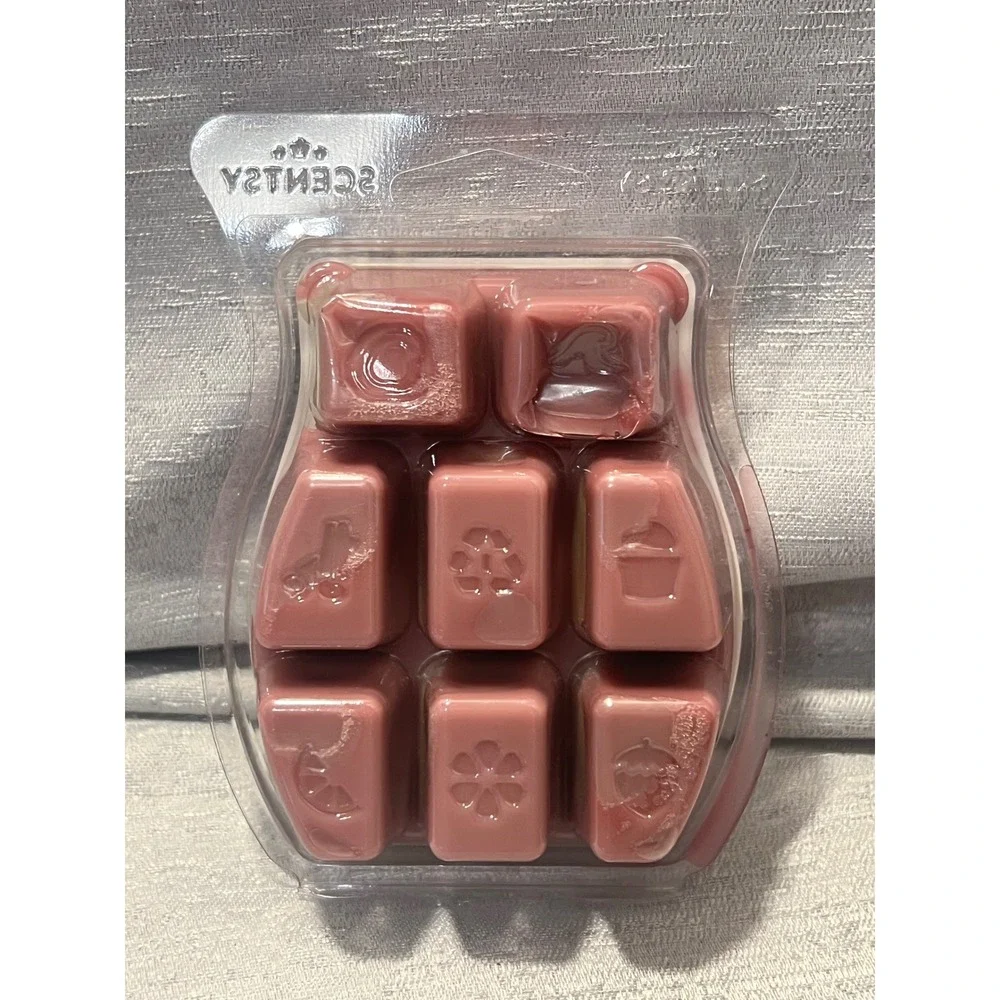 Scentsy Bar Winterberry Apple Tea Wax Melt 2.6 oz 74g Aromatic Fragrance 48983
